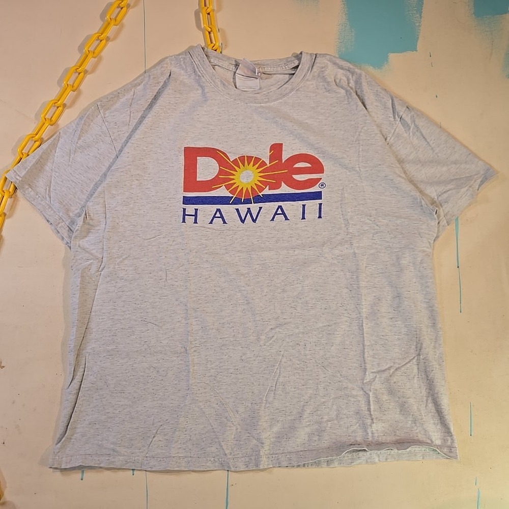 Dole Plantation Men XL Hawaii T-Shirt Sunburst Logo‎ Tee Gray Poly Cotton 23x25
